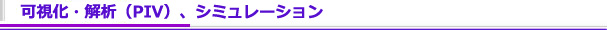 可視化・解析、シミュレーション